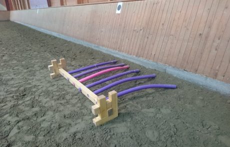 Horse Agility Trainingssystem