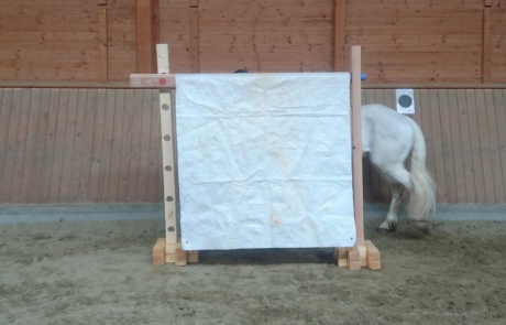 Horse Agility Trainingssystem