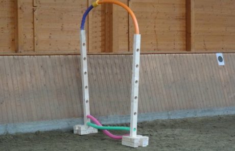 CKS Agilitech – das Horse Agility-Trainingssystem - Aufbauvarianten